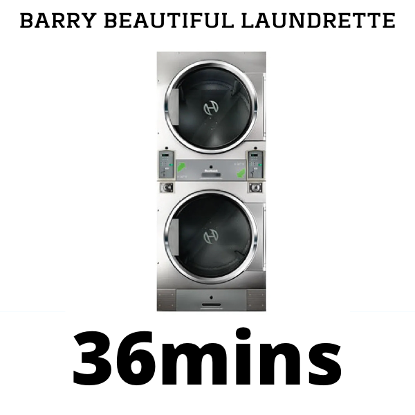 Dryer D3B 14kg [36 mins]